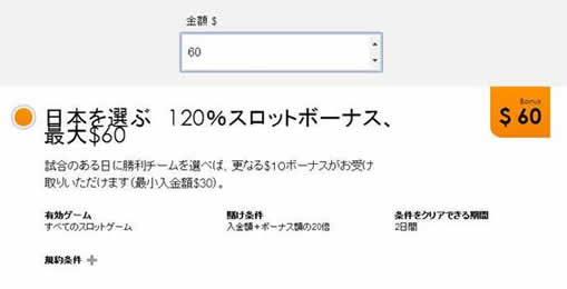 インターカジノ　スロットボーナス