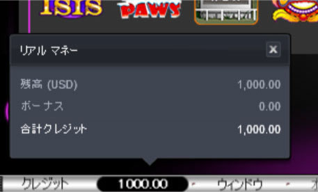 1000ドル入金できたよ