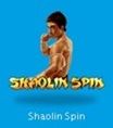 Shaolin Spin