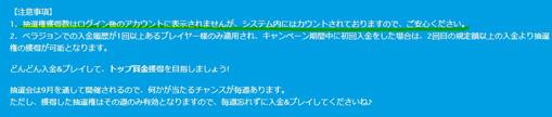 抽選券はアカウントに表示されないらしい