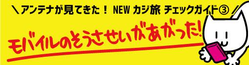 アンテナのカジ旅チェックガイド