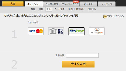 エコペイズ入金画面
