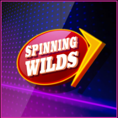 SPINNING WILDS