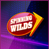 SPINNING WILDSアイコン