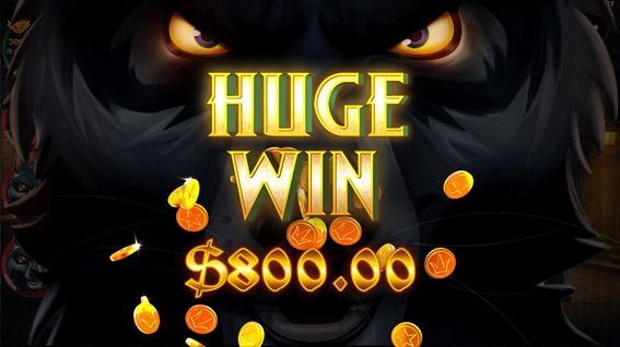 HUGEWIN$800.00