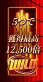 ＷＩＬＤで12,500倍