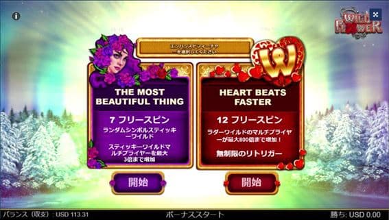 The Most Beautiful Thing フリースピンをチョイス