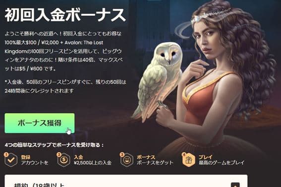 ナショナルカジノ初回入金ボーナス