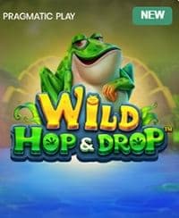 WILD Hop&Drop