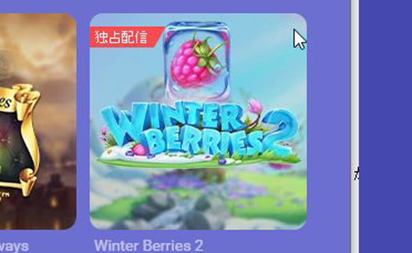 Winter Berries 2