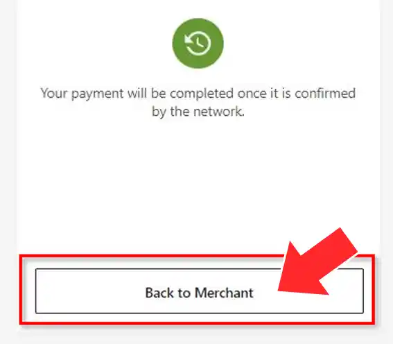 Back to Merchant」をクリックするとカジノの入金ページに戻ります。