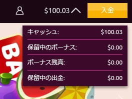 資金$100.03