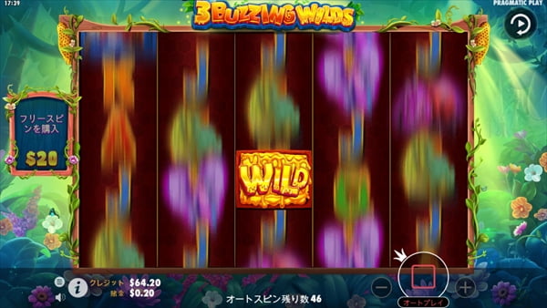 WILD貼りつきアクション