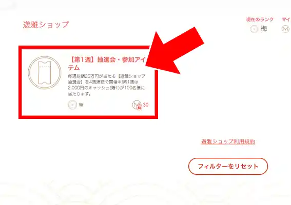 各期間中に抽選アイテムとマイルを交換することで、参加完了となります。