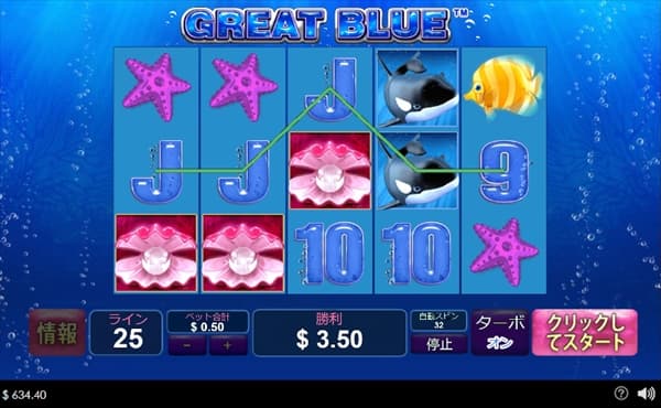シャコガイ3つ