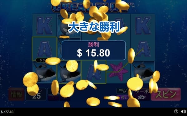 大きな勝利$15.80