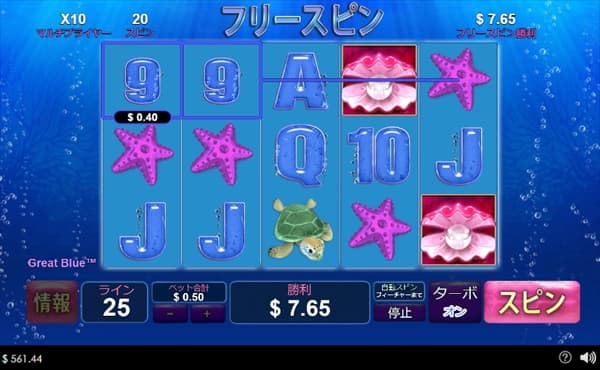 シャコガイ2個