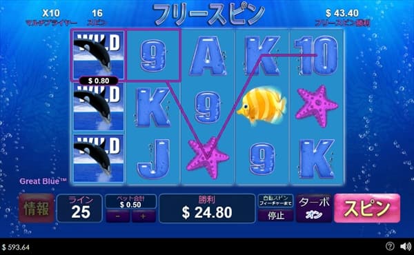 1列にシャチ3匹