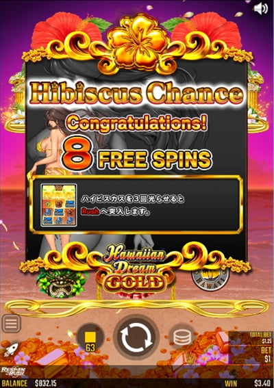 ハイビスカスチャンス