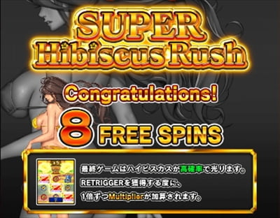 スーパーハイビスカスチャンス