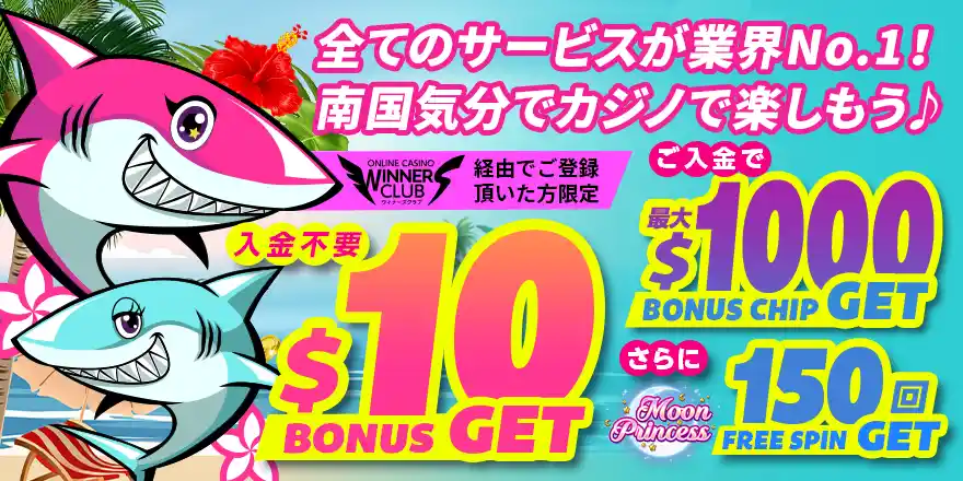 アロハシャークメインイメージ