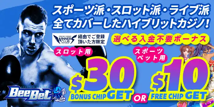 ビーベットランキングイメージ