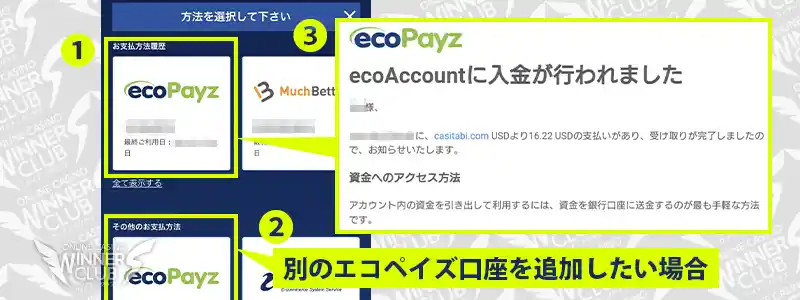 ecoPayz（エコペイズ）で出金する場合