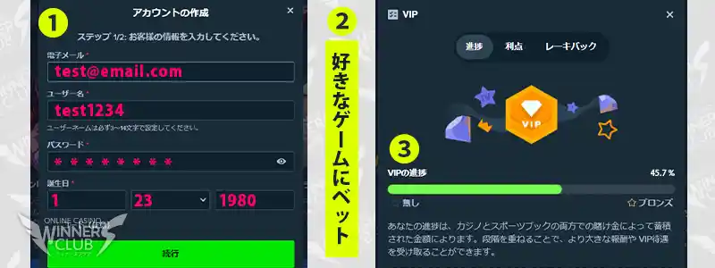 ステークカジノのVIPプログラム参加方法