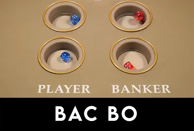 バックボー