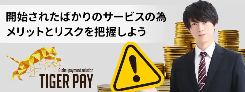 タイガーペイ(Tiger Pay)の注意点