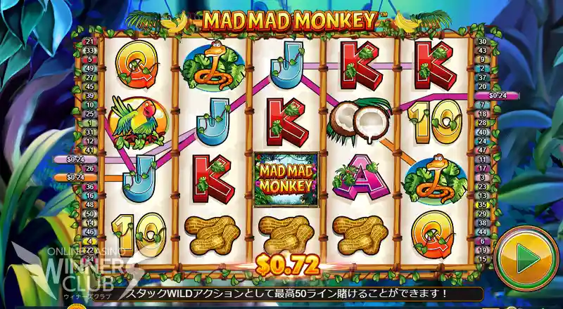 MAD MAD MONKEY