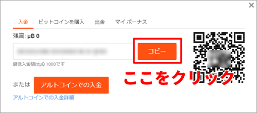 ビットカジノ入金画面2