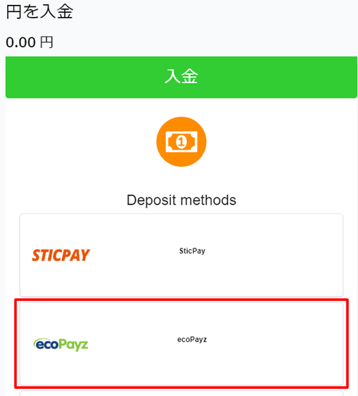 エコペイズからの入金画面2