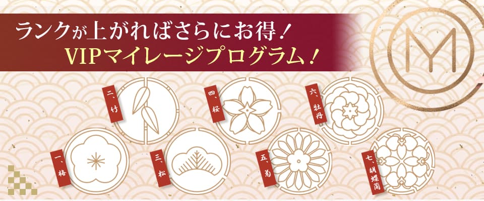 VIPプログラムとしてマイレージ機能を提供