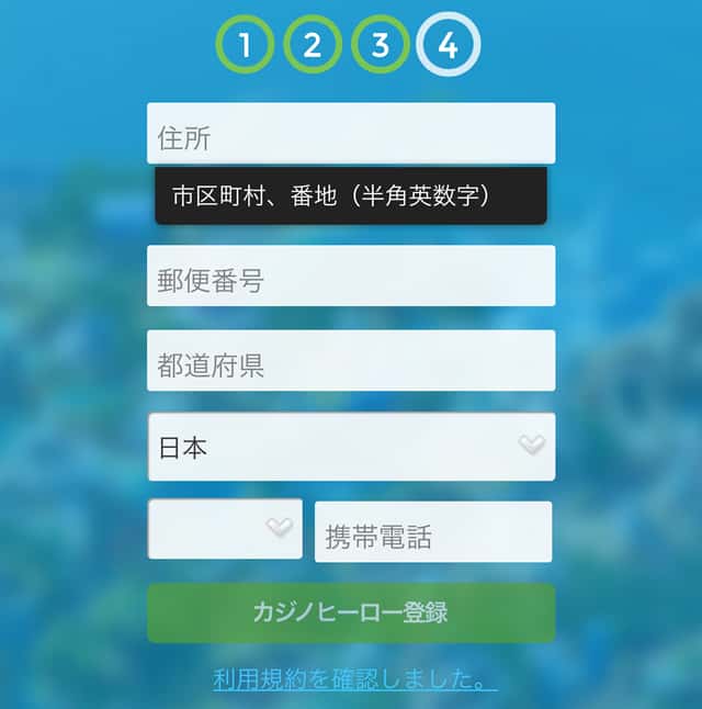 カジ旅登録画面1