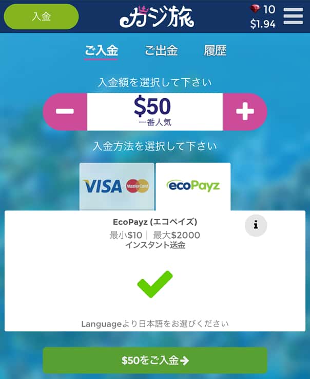 エコペイズの入金画面