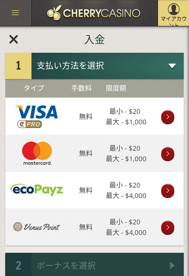 チェリーカジノ クレジットカードの入金画面1