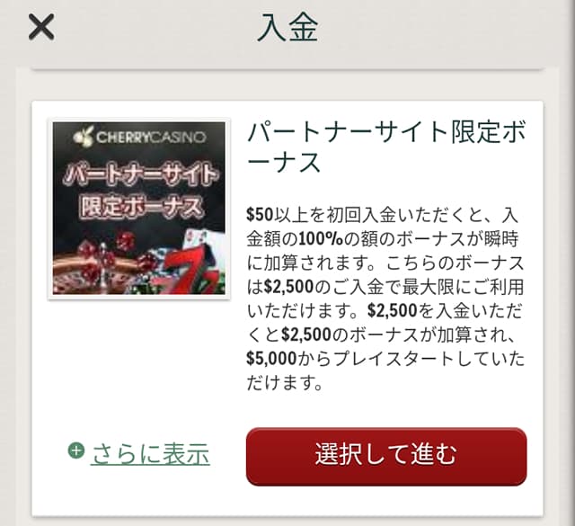 チェリーカジノ クレジットカードの入金画面2