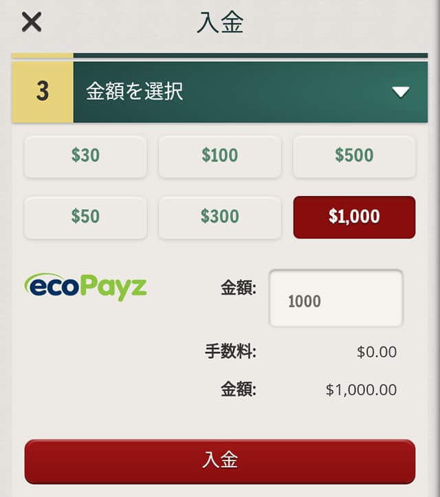 チェリーカジノ エコペイズの入金画面3