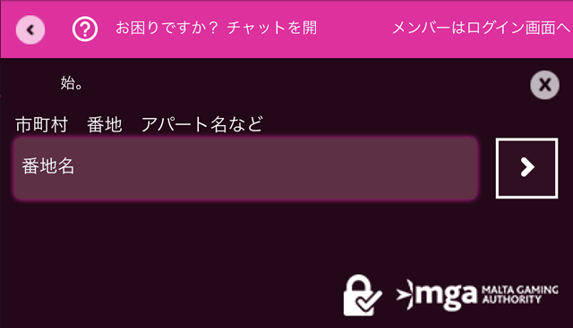 ラッキーニッキーカジノ登録画面2