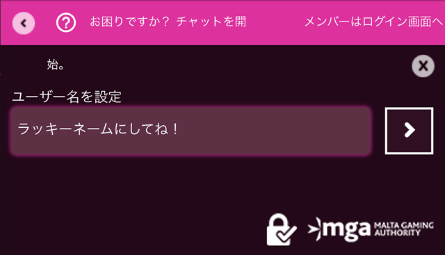 ラッキーニッキーカジノ登録画面3