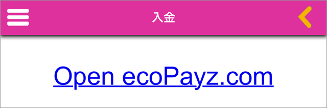 エコペイズの入金画面3