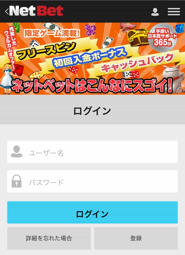 ネットベットカジノ公式画面