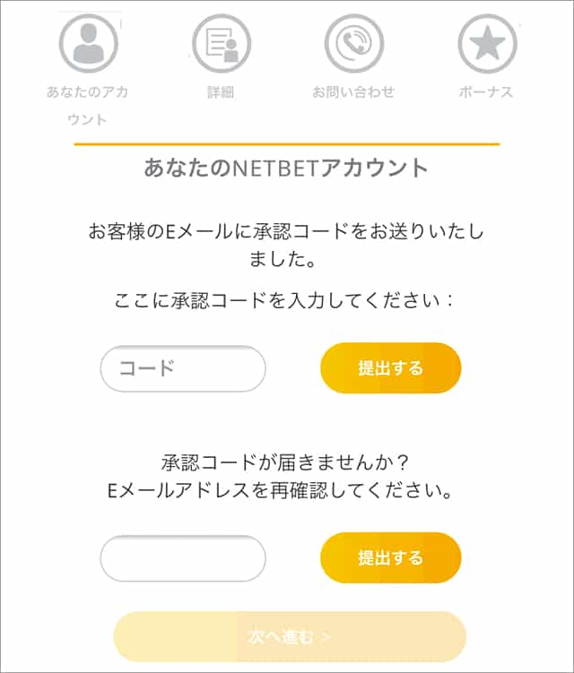 ネットベットカジノ登録画面2