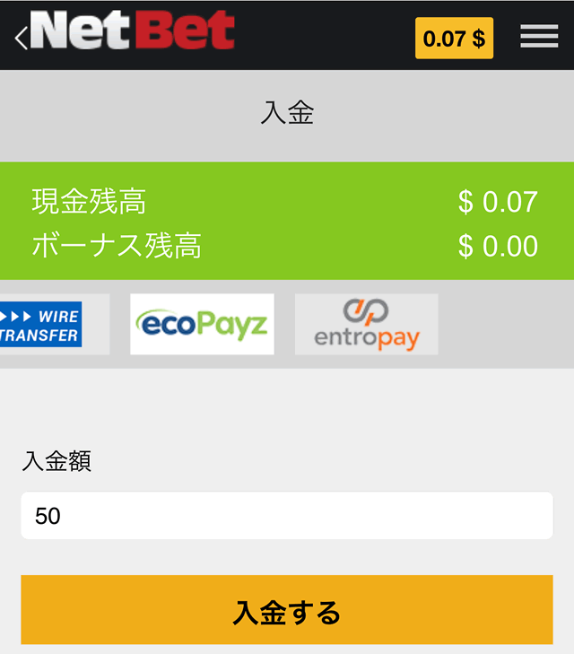 エコペイズの入金画面