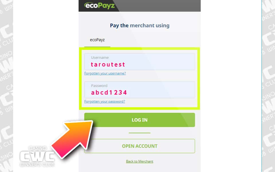 ecoPayzにログインする