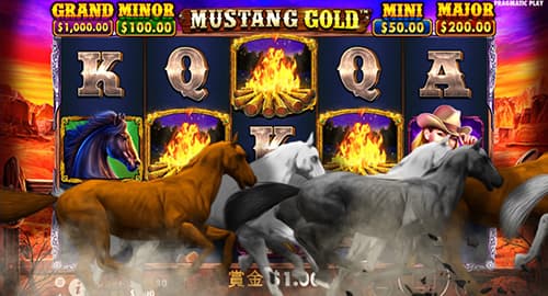 Mustang Gold
