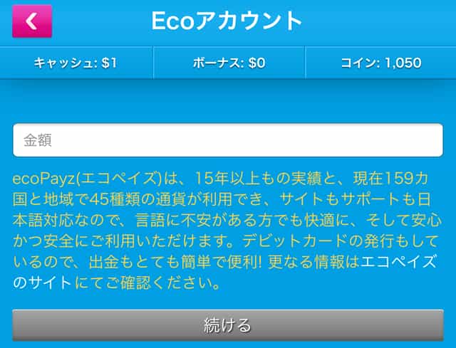 エコペイズの入金画面